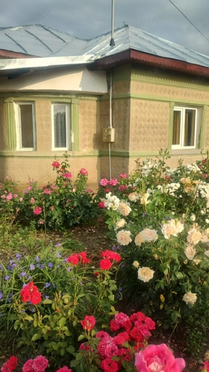 Casa de vanzare Zanoaga Jud.Prahova - imagine 3