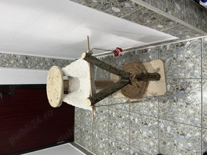 Ansamblu pisici - imagine 2