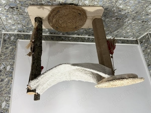 Ansamblu pisici - imagine 3