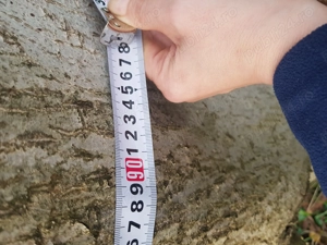 Vand nuc pentru mobila sau scanduri