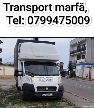 Transport marfa, mutări, relocări, depozitare moluz,