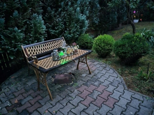 Teren + cabana, spre vanzare,/ inchiriere in zona Tudor - imagine 3