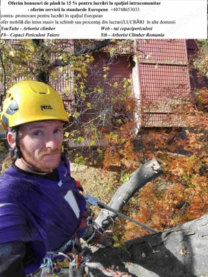 Tai copaci mari tai arbori uscati toaletare arbori veterani, arbori foarte mariBucuresti ilfov
