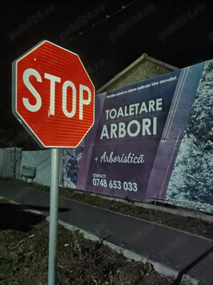 Tai copaci periculosi Tulcea Dobrogea - imagine 3