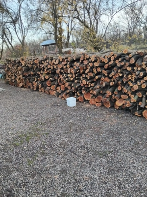 lemne  pentru foc