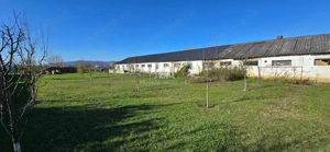 Teren de vanzare, Albesti, Sighisoara - imagine 3