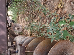 de vânzare  - imagine 2