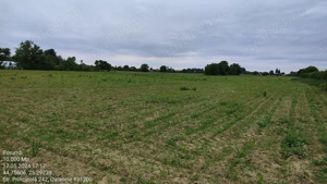 Teren 10000 mp, oportunitate invetitie parc fotovoltaic, infiintare cultura zmeur, afin, mur