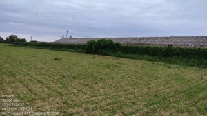 Teren 10000 mp, oportunitate invetitie parc fotovoltaic, infiintare cultura zmeur, afin, mur - imagine 5