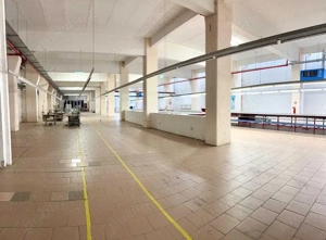 Spațiu industrial   birouri   hala - 3.290mp   Bd. Muncii, Cluj - imagine 6