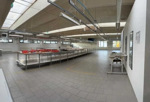 Spațiu industrial   birouri   hala - 3.290mp   Bd. Muncii, Cluj - imagine 5