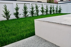 Vila spatioasa 6 camere Pipera - imagine 4