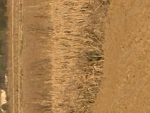 BUNA ZIUA. Sa pierdut Registrul. 