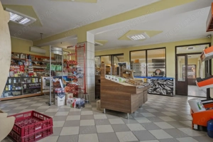 Comision 0% 2 case Vila + Spatiu Comercial + Curte Proprie - imagine 11