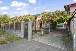 Comision 0% 2 case Vila + Spatiu Comercial + Curte Proprie - imagine 15