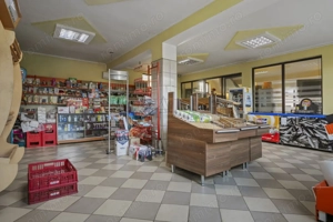 Comision 0% 2 case Vila + Spatiu Comercial + Curte Proprie - imagine 12