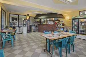 Comision 0% 2 case Vila + Spatiu Comercial + Curte Proprie - imagine 8