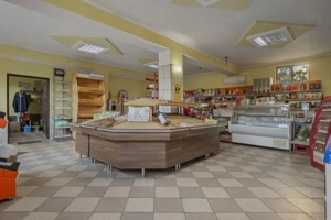 Comision 0% 2 case Vila + Spatiu Comercial + Curte Proprie - imagine 10