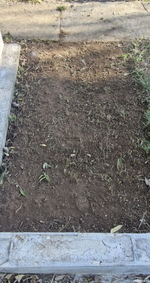 Vand loc Veci  Cimintirul Ghencea civil .1 3