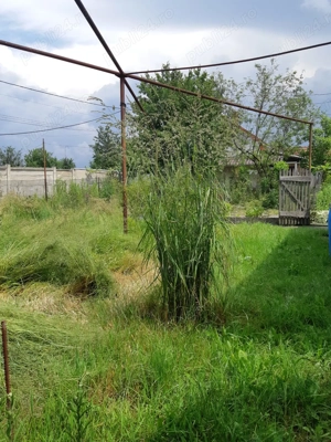 Vand casa cu gradina - imagine 4