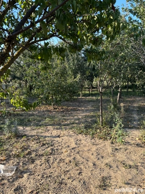 Casa de Vanzare in sat Crai Nou - imagine 7