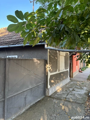 Casa de Vanzare in sat Crai Nou - imagine 3