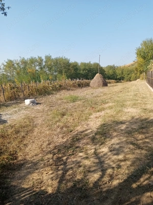 Vând casă la ţară în Vladimir - imagine 10