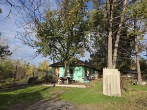 Teren intravilan 9970 mp , com. Chirnogi, jud. Calarasi (situat la 50-60 km de Bucuresti) - imagine 4