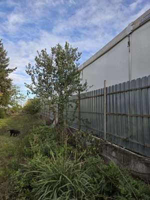 Teren intravilan 9970 mp , com. Chirnogi, jud. Calarasi (situat la 50-60 km de Bucuresti) - imagine 6