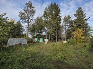 Teren intravilan 9970 mp , com. Chirnogi, jud. Calarasi (situat la 50-60 km de Bucuresti) - imagine 5