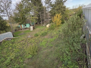 Teren intravilan 9970 mp , com. Chirnogi, jud. Calarasi (situat la 50-60 km de Bucuresti) - imagine 8