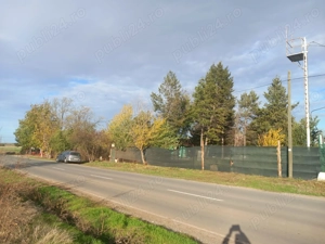 Teren intravilan 9970 mp , com. Chirnogi, jud. Calarasi (situat la 50-60 km de Bucuresti) - imagine 9