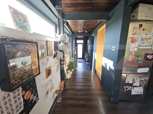 Vila de lux cu 4 camere in V. Ursului, langa padure - imagine 3