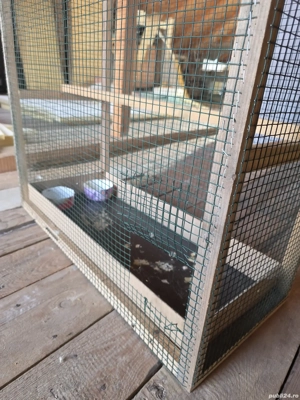 Voliera ,cusca pasari  - imagine 3