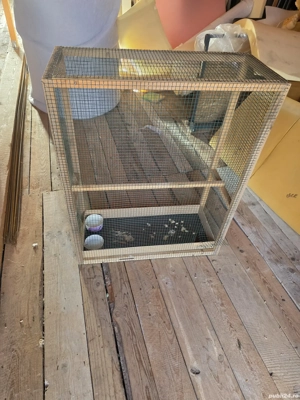 Voliera ,cusca pasari  - imagine 4