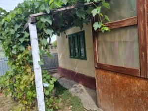Vand schimb casa aproape de Dunare, muntii Macinului, zona viticola - imagine 5