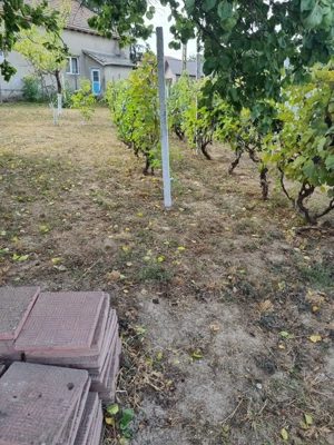 Vand schimb casa aproape de Dunare, muntii Macinului, zona viticola - imagine 3