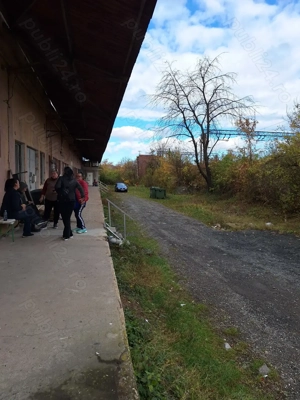 inchiriere hala industriala - imagine 10