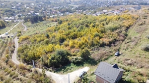 Teren Extravilan Bucium - Mun Iasi - imagine 2