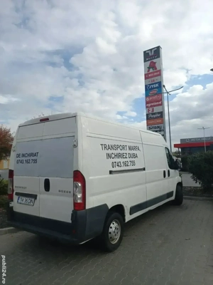 Transport marfă,Timișoara!