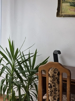 Apartament  1 Camera,Balcon,Centrala,Clima - imagine 6