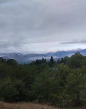 Teren extravilan la munte, in Nucsoara Arges - imagine 2