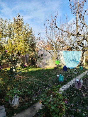 Teren 10 arii cu casă - imagine 8
