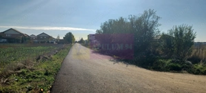 Săbăreni, teren rezidential 6290 mp, cu 52m FS, utilitati in apropiere - imagine 5