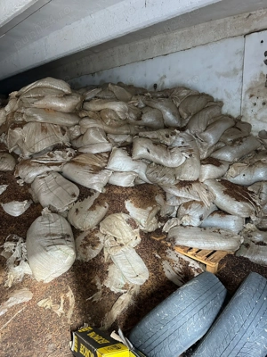 Miez de nuca,miez de nuca cu coaja - imagine 2