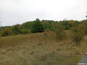 proprietar,vand loturi de 1000 mp teren extravilan in sat Serpeni,comuna Scorteni,jud Bacau - imagine 2