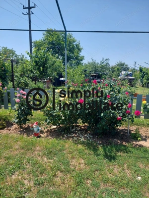 Teren intravilan-zona Metro - imagine 8