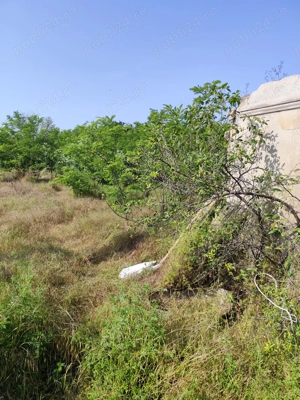 Vând teren intravilan - imagine 4