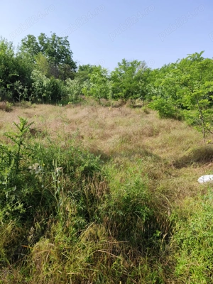 Vând teren intravilan - imagine 5