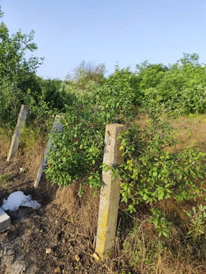 Vând teren intravilan - imagine 6